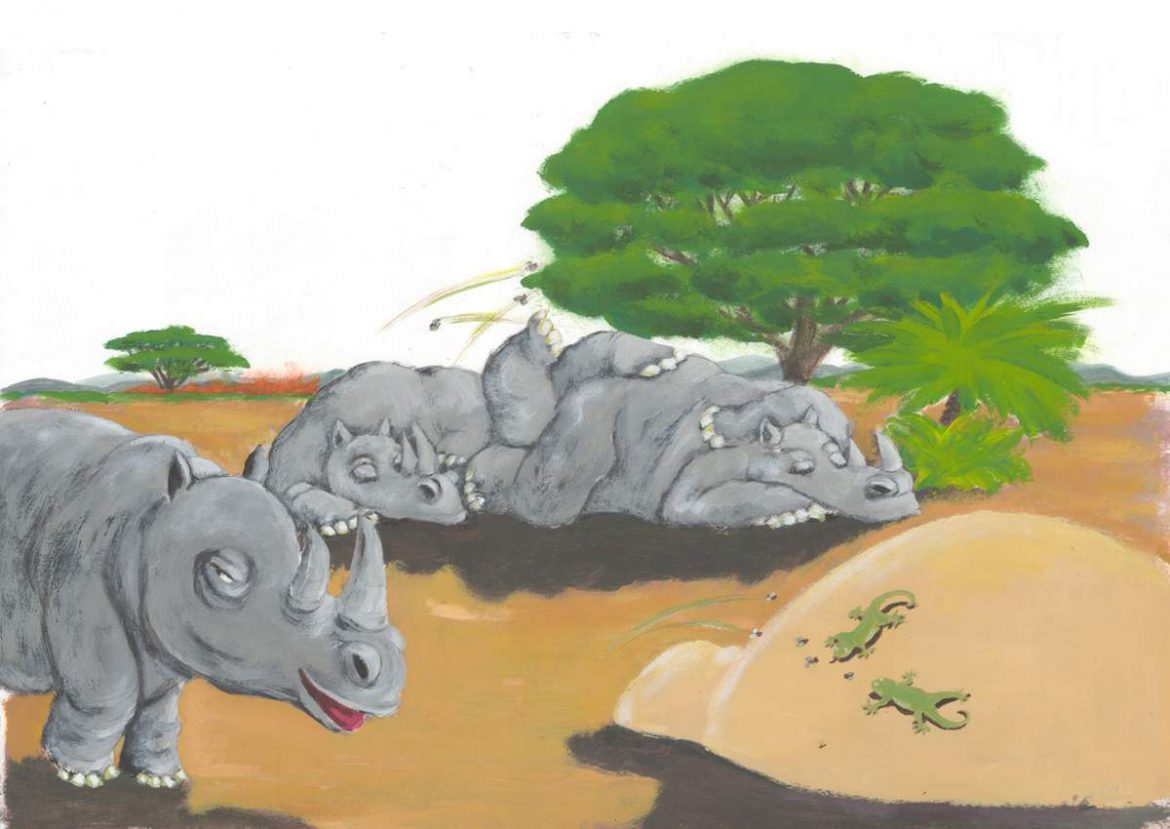 illustrazioni - rinoceronti