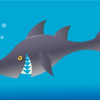 illustrazioni - squalo